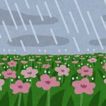 bg_rain_natural_flower
