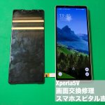xperia5%e2%85%a4-%e7%94%bb%e9%9d%a2%e7%a0%b4%e6%90%8d-%e6%98%a0%e3%82%89%e3%81%aa%e3%81%84-%e4%bf%ae%e7%90%86-5