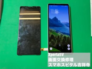 xperia5%e2%85%a4-%e7%94%bb%e9%9d%a2%e7%a0%b4%e6%90%8d-%e6%98%a0%e3%82%89%e3%81%aa%e3%81%84-%e4%bf%ae%e7%90%86-5