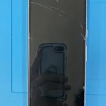 img_1276