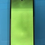 img_1465